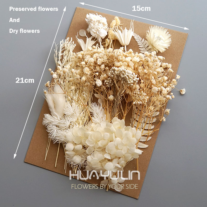 1 Pack Artificial Plants Dried - Candle Making Activity 评论和价格