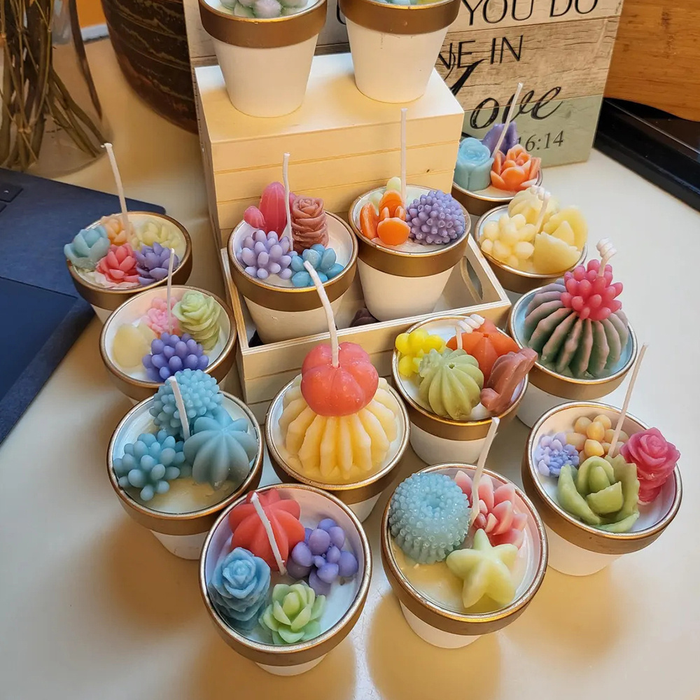 6pcs Succulent Silicone Candle - Candle Making Reno 评论和价格